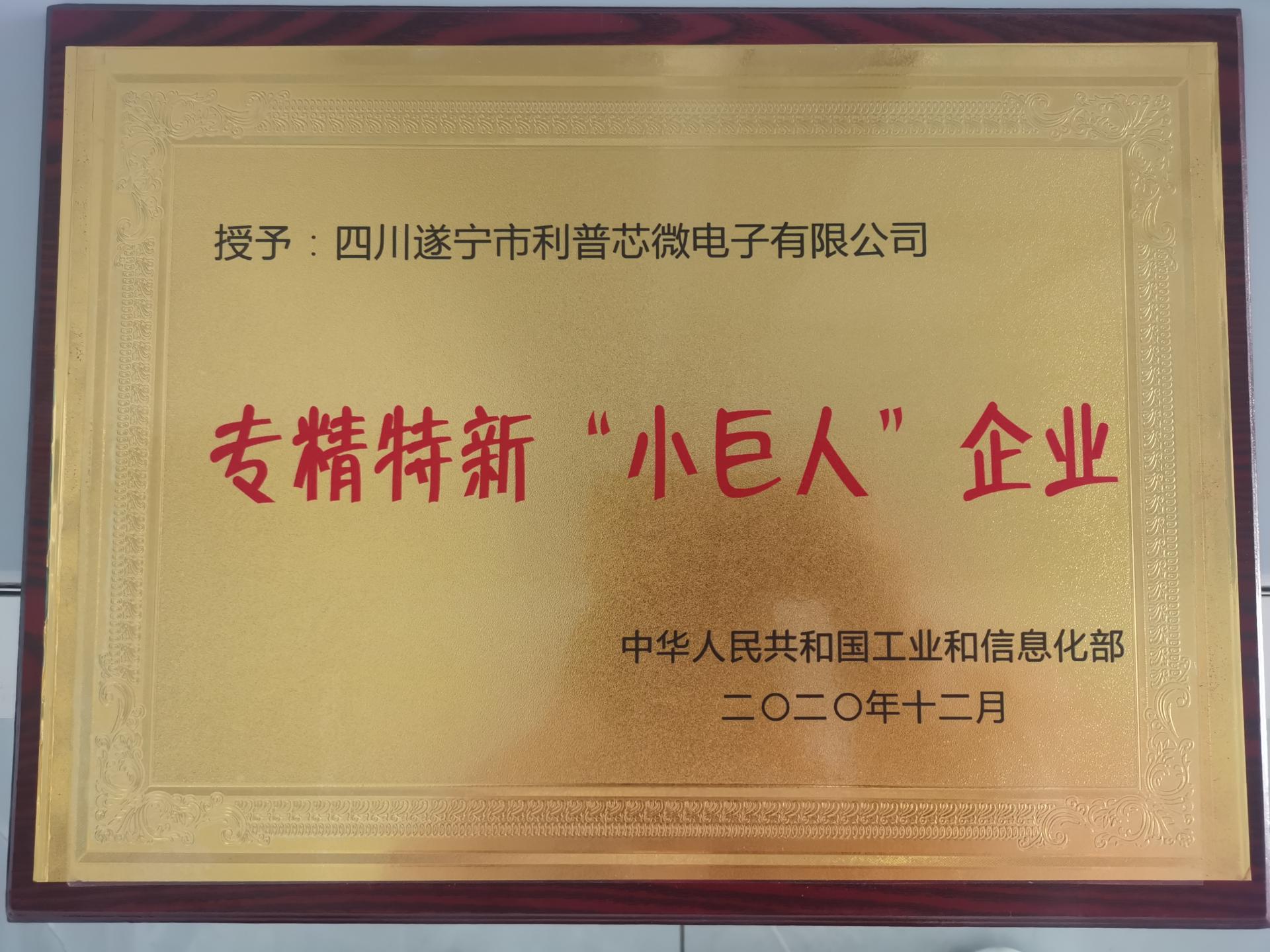 小巨人
